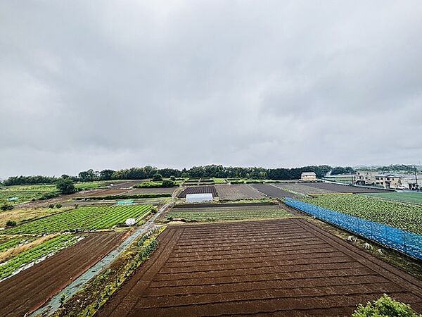 窓から眺める風景は一日の疲れを癒すヒーリングを奏でる、心地の良い時間を演出してくれます。室内も重要ですが、周りの環境もマイホーム選びの大事なポイント