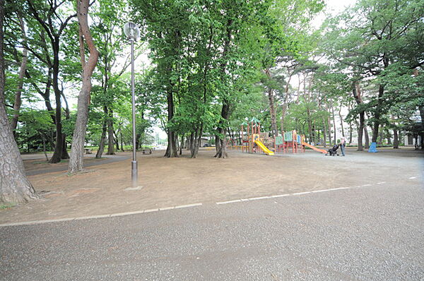 緑町中央公園（30m）
