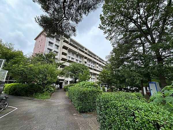 完成物件だから、引っ越したあとの配置や動線も分かりやすい。