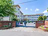 周辺：入間野小学校（800m）