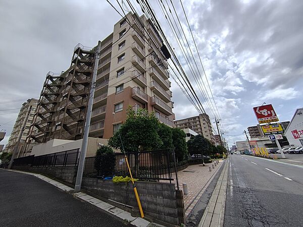 外観：311002444250