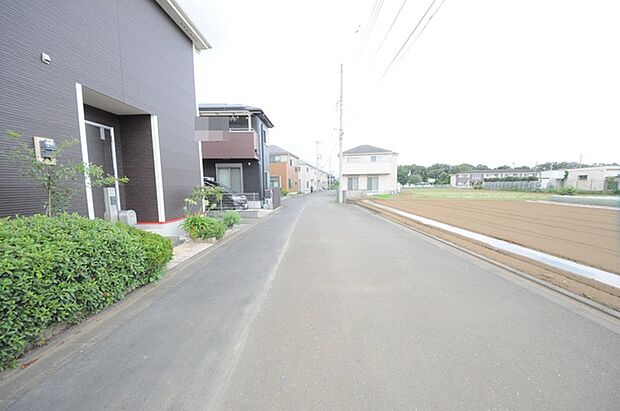 周辺の町並み(30m)