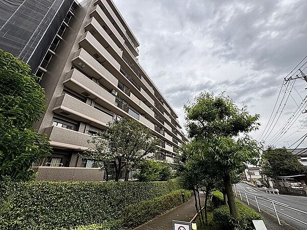 外観：311002473116