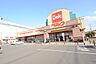 周辺：ベルク東所沢店（590m）