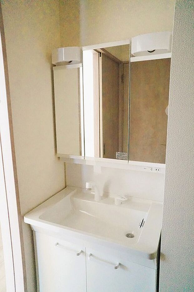 化粧台はやっぱり色が一番。シャワーヘッド付きの収納充実タイプです。 