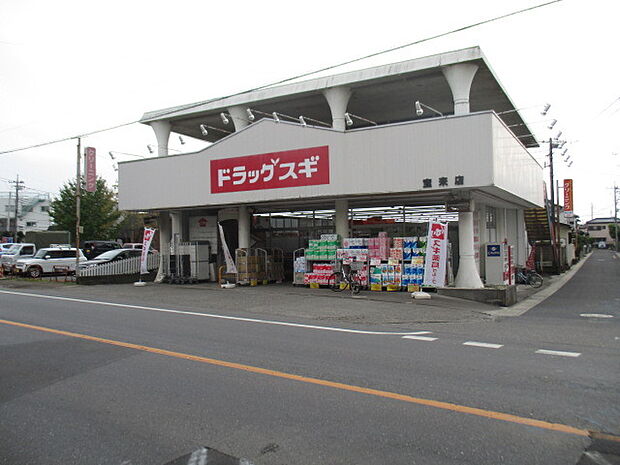 ドラックスギ 宝来店 (1110m)