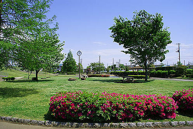 せせらぎ公園（620m）
