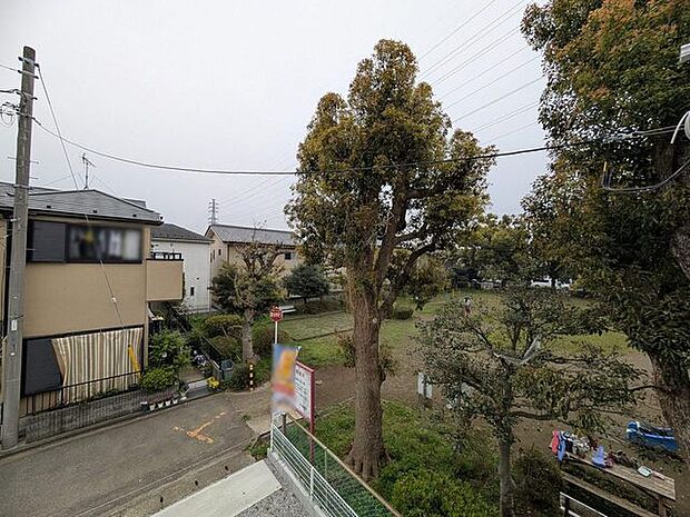 ゆったりとした緑地の多い立地ならでは!緑に包まれた環境です。