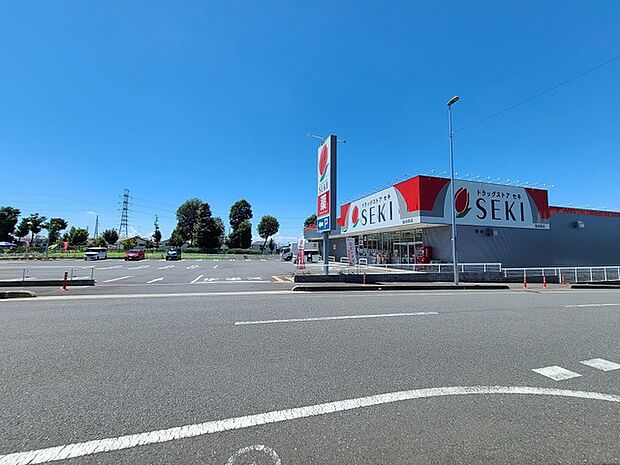 ドラッグストア　セキ　坂田西店（240m）