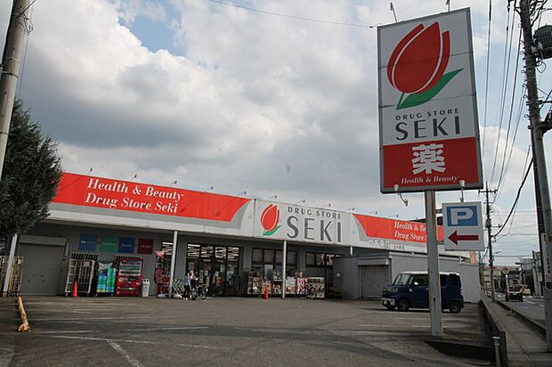 ドラッグストアセキ 上小町店(470m)