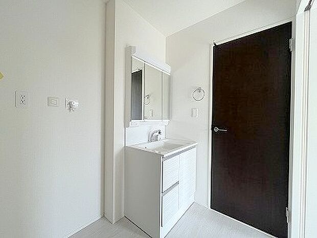 化粧台はやっぱり色が一番。シャワーヘッド付きの収納充実タイプです。 