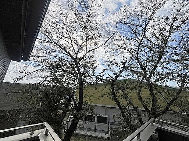 ゆったりとした緑地の多い立地ならでは！緑に包まれた環境です。 