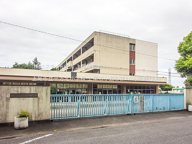 上尾市立平方北小学校（700m）