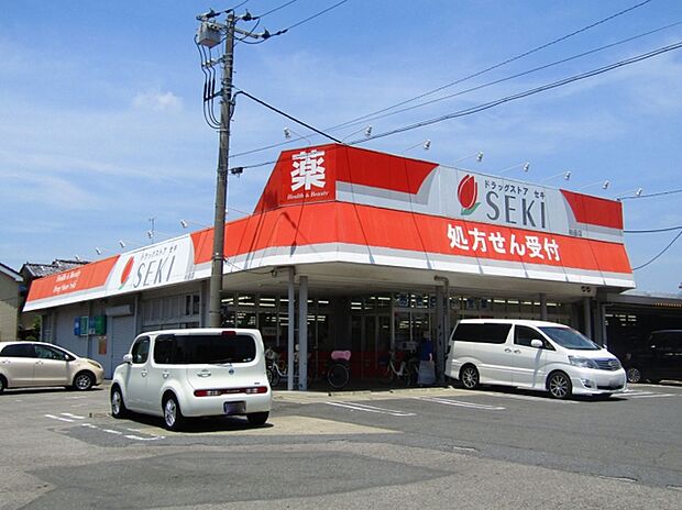 ドラックストアセキ柏座店　（450m）