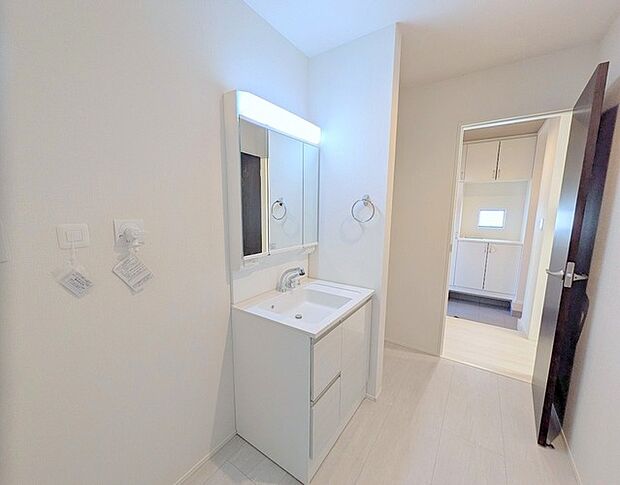 化粧台はやっぱり色が一番。シャワーヘッド付きの収納充実タイプです。 