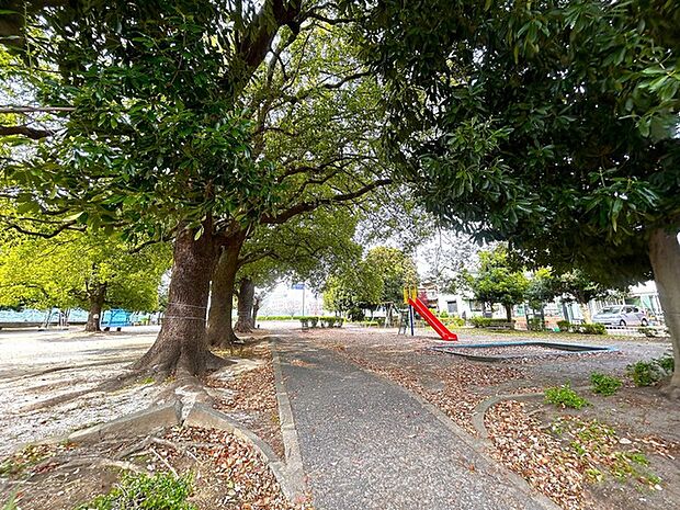 領家中央公園(520m)