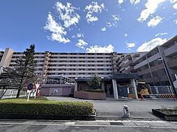 ビクトリアアネーロ大宮