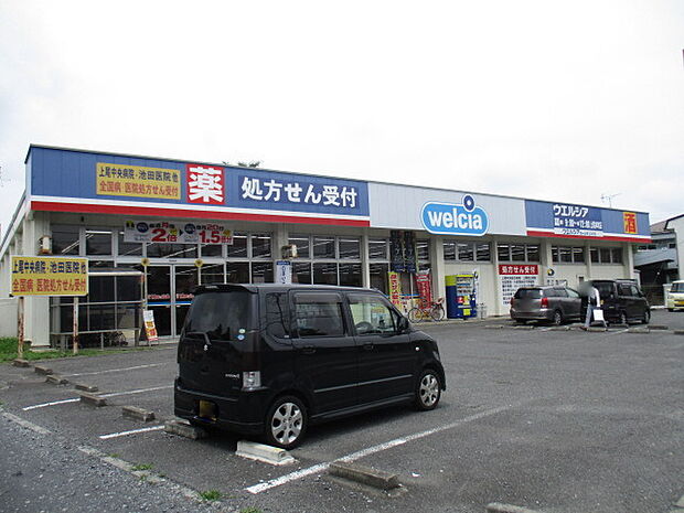 ウエルシア上尾本町店（250m）
