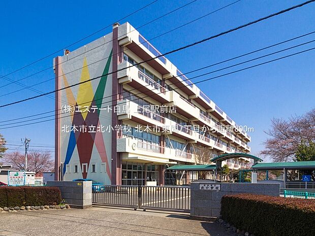 北本市立北小学校(800m)