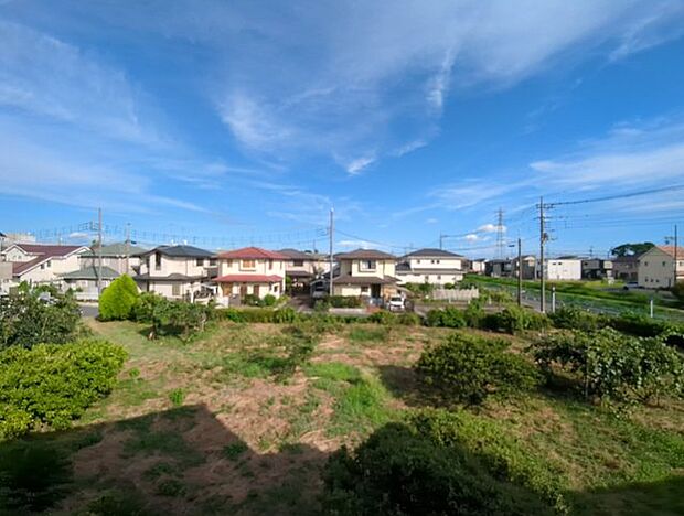 ゆったりとした緑地の多い立地ならでは！緑に包まれた環境です。 
