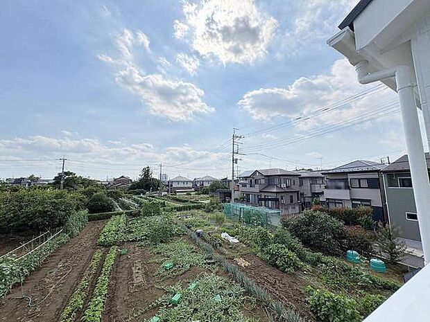ゆったりとした緑地の多い立地ならでは!緑に包まれた環境です。
