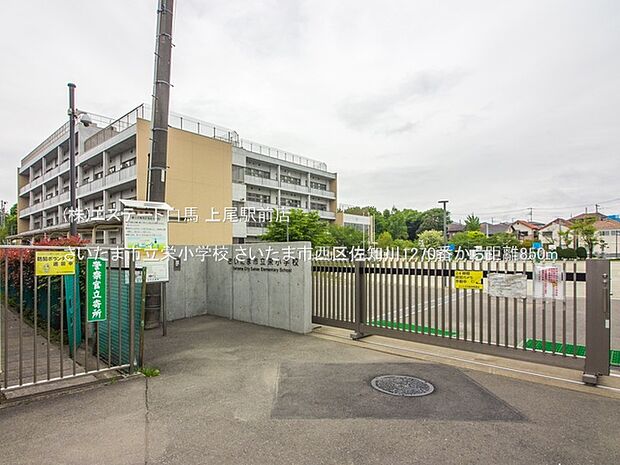 さいたま市立栄小学校（850m）