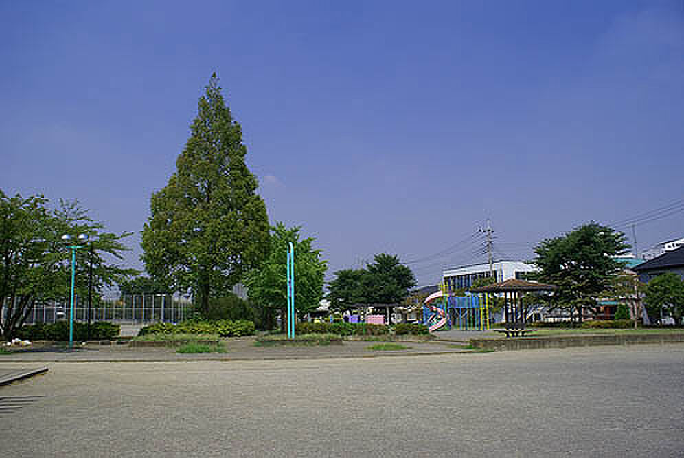 Image 8