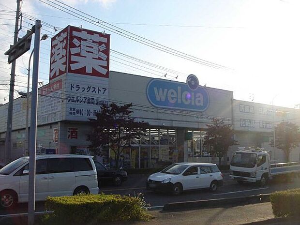 ウエルシア蓮田黒浜店(850m)