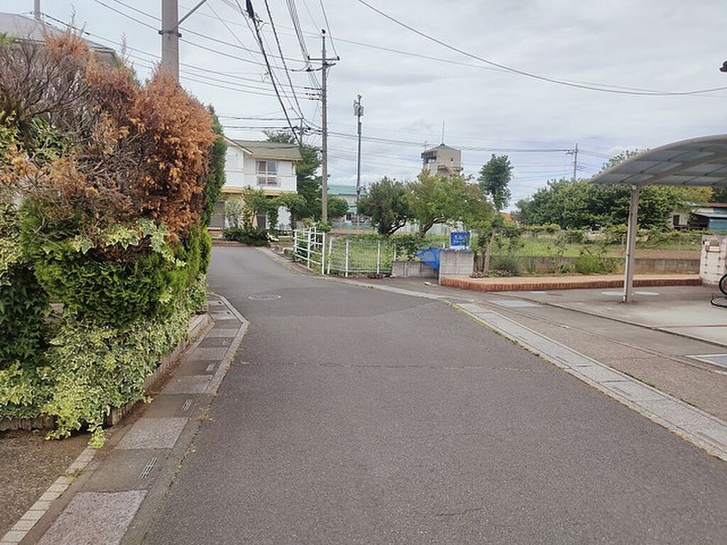 Image 61