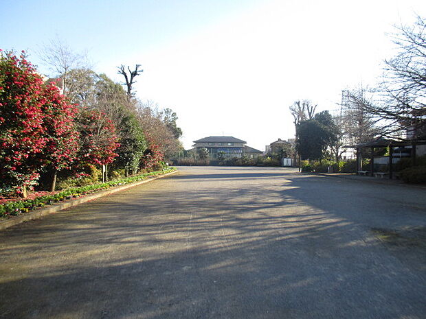 島根公園(1430m)