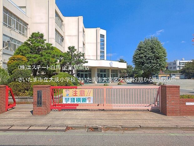 さいたま市立大成小学校(250m)