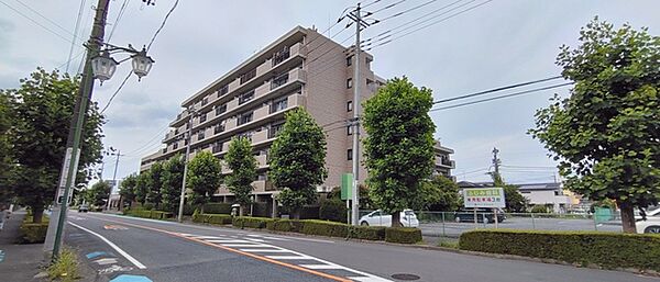 外観：311002447322