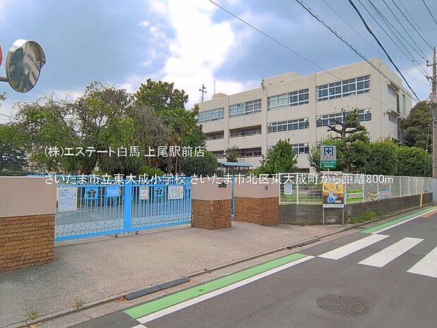 さいたま市立東大成小学校（800m）