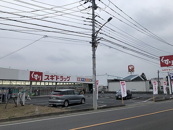 スギドラッグ伊奈小室店（1100m）