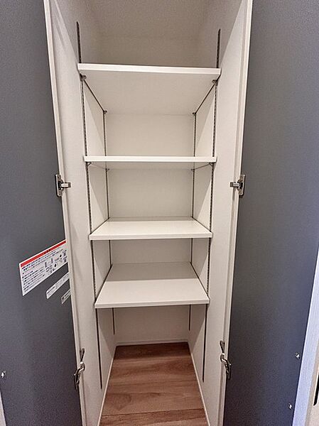 全居室はもちろん、共用スペース収納もあり、すっきり片づけて広く使えます。