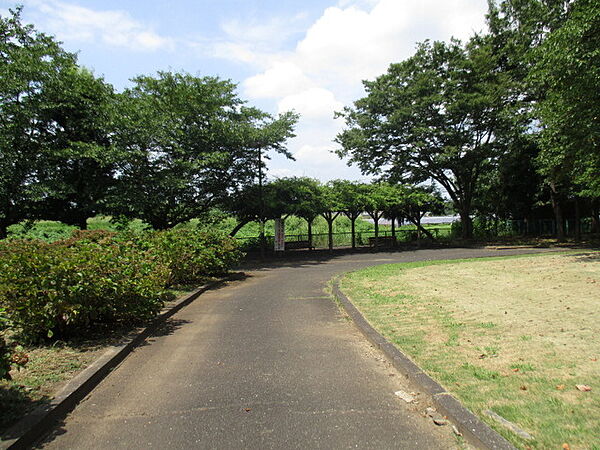 富士見ホタル親水公園（860m）