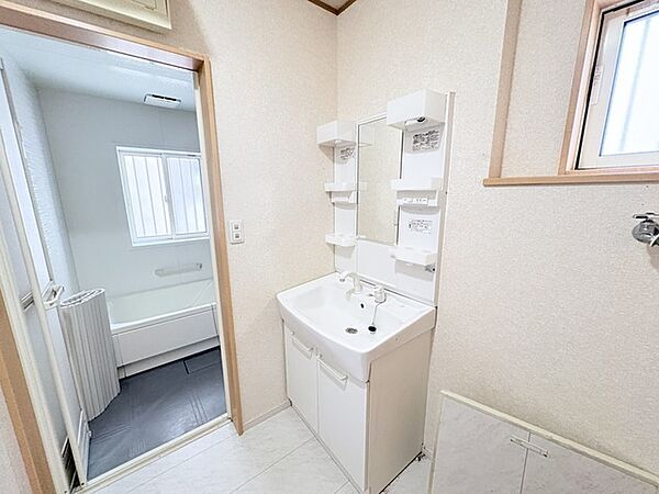 化粧台はやっぱり色が一番。シャワーヘッド付きの収納充実タイプです。