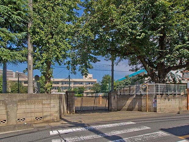 蓮田市立蓮田南小学校(500m)