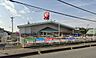 周辺：コメリハード&グリーン相野原店（750m）