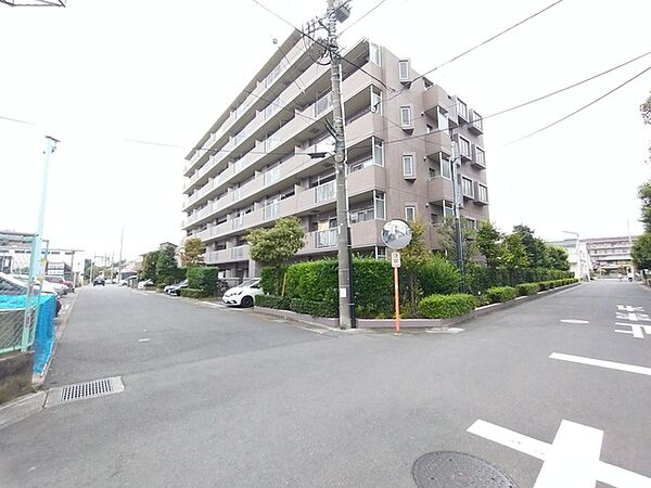 外観：311002495211