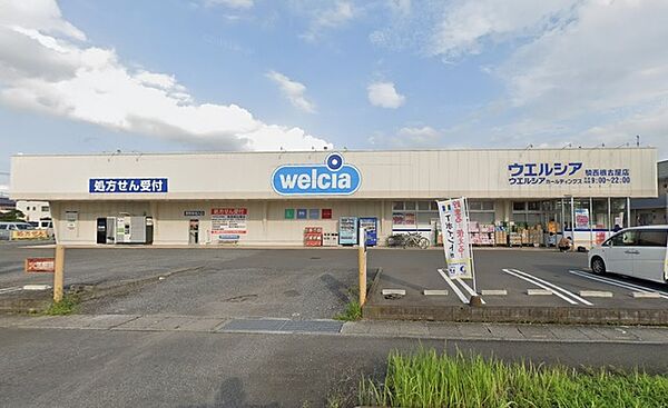 ウェルシア　騎西根古屋店（850m）