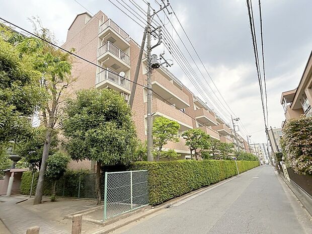 前面道路は歩道も整備され、小さなお子様にも安心です。 