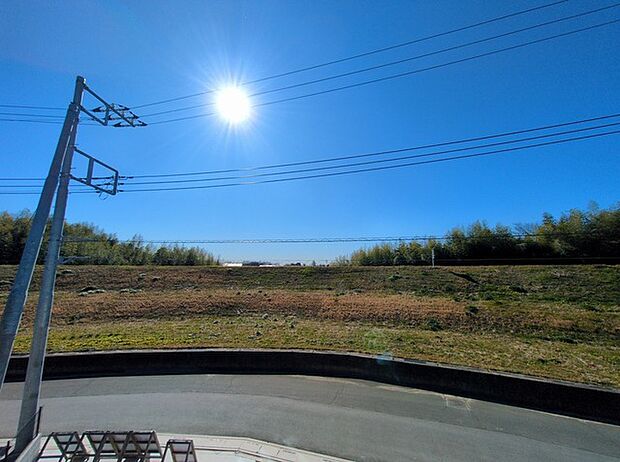ゆったりとした緑地の多い立地ならでは!緑に包まれた環境です。