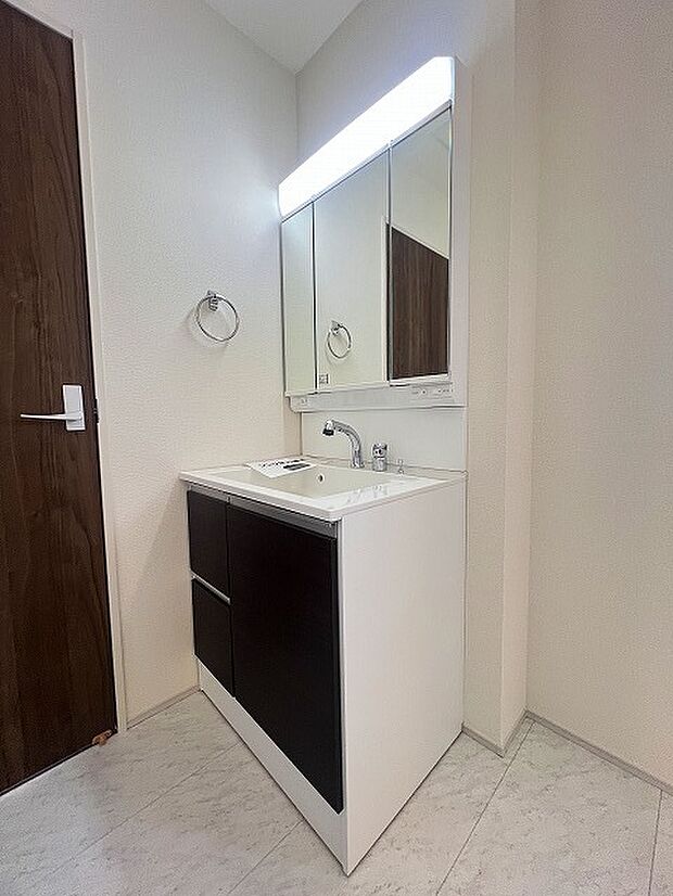 ワイドなボウルにハンドシャワー水栓が付いた洗面化粧台。