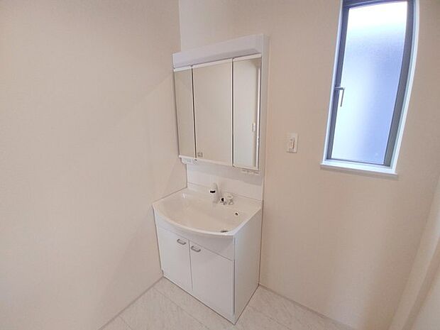 化粧台はやっぱり色が一番。シャワーヘッド付きの収納充実タイプです。