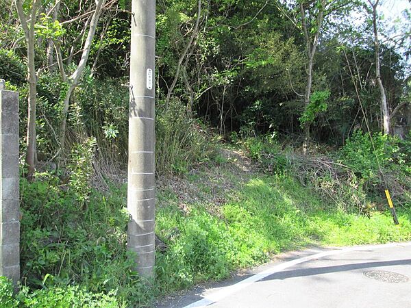 外観：323000380274