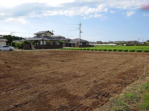 外観：308000158358