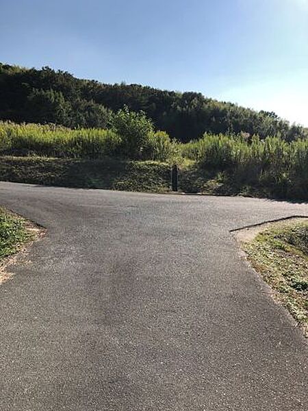 ＊西側前面道路＊