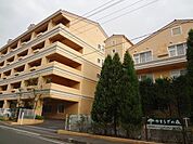 距離