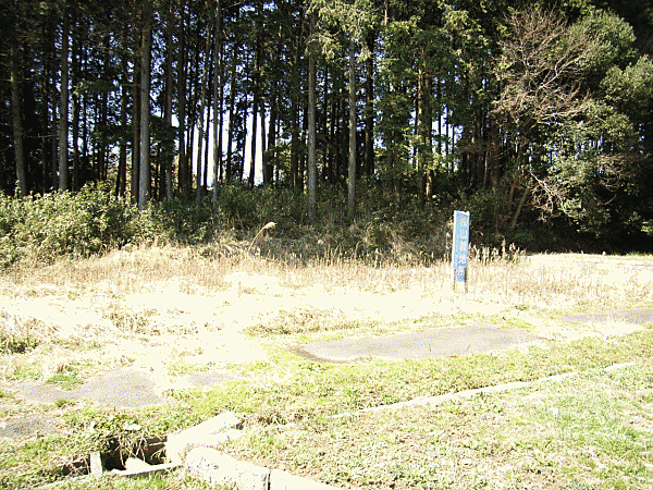 外観：308000158245